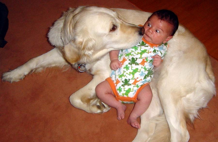 köpek ve bebek