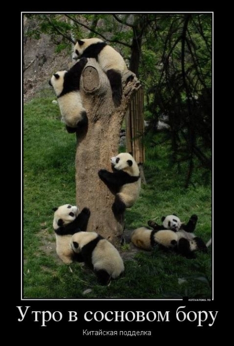 Sevimli pandalar